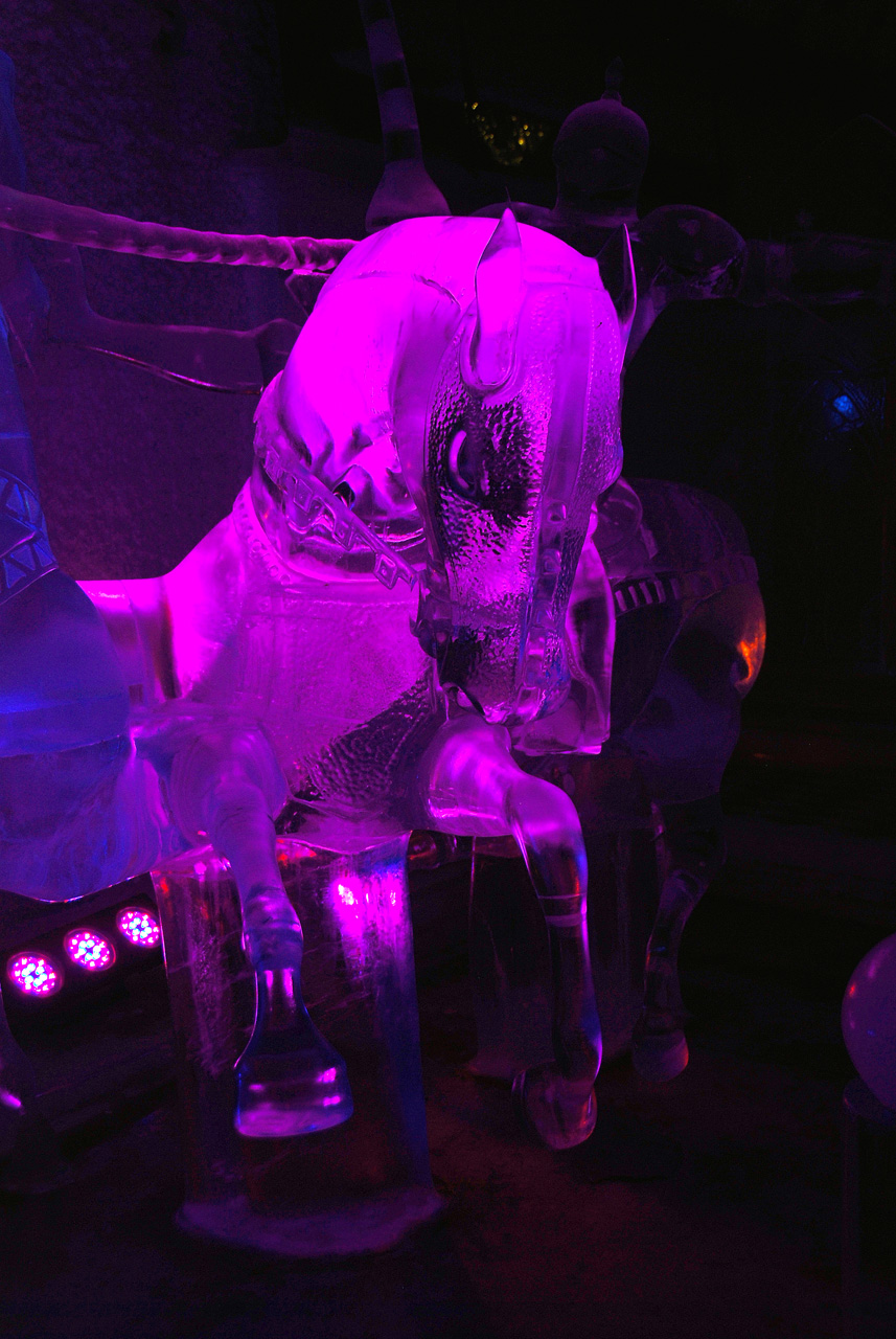2013-08-04, 017, Aurora Ice Museum