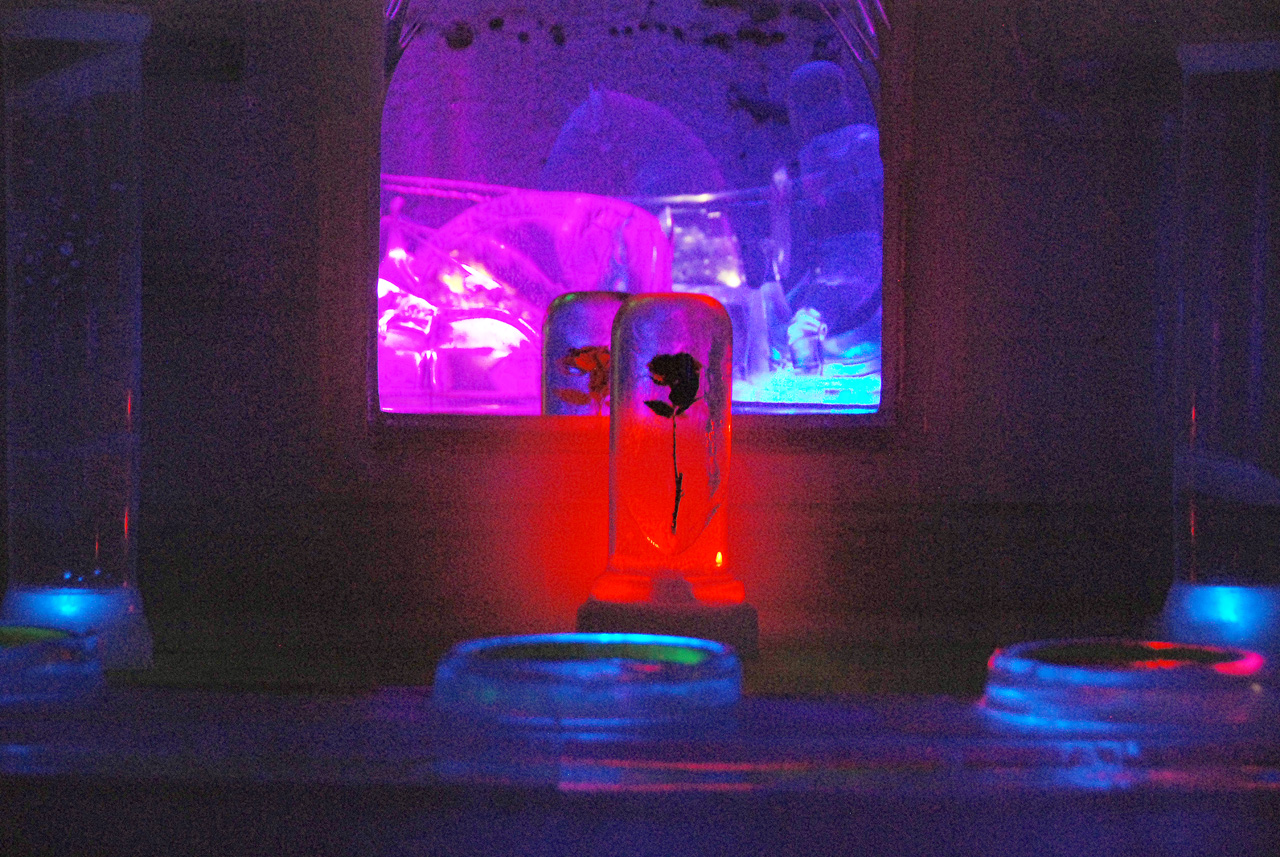 2013-08-04, 032, Aurora Ice Museum