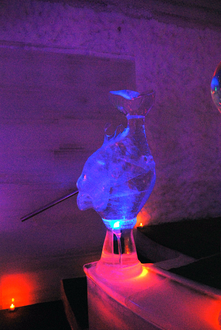 2013-08-04, 069, Aurora Ice Museum