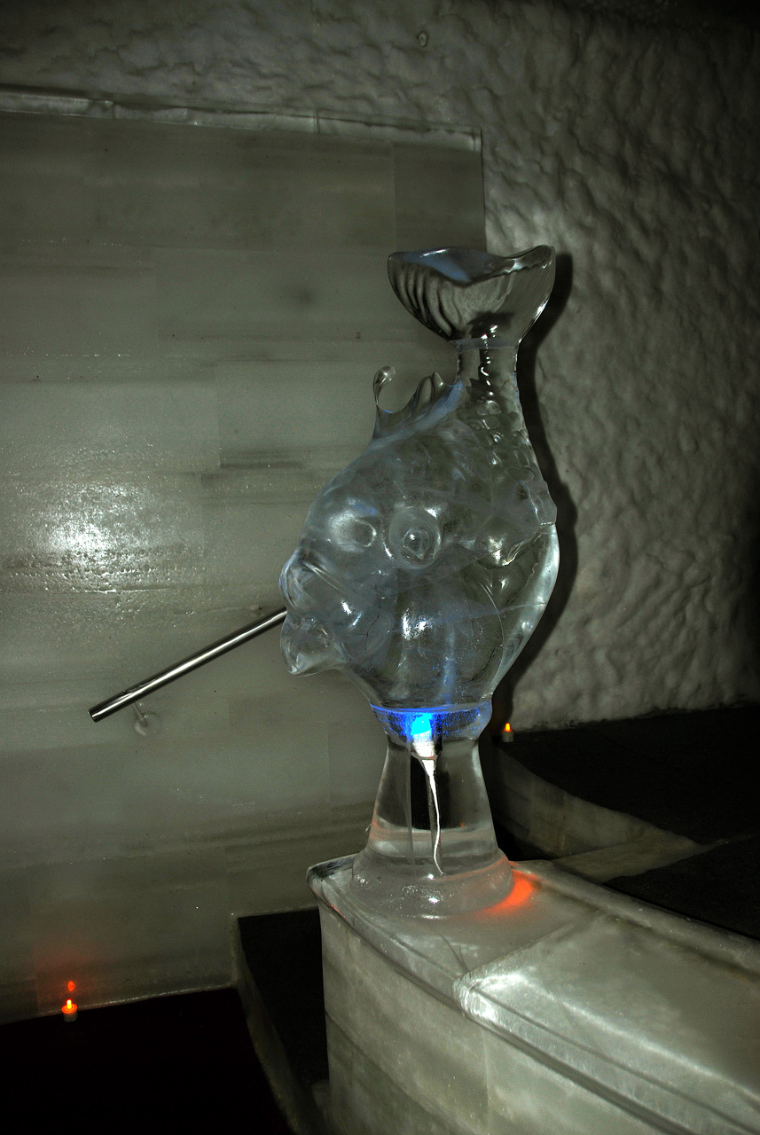 2013-08-04, 070, Aurora Ice Museum, with Flash