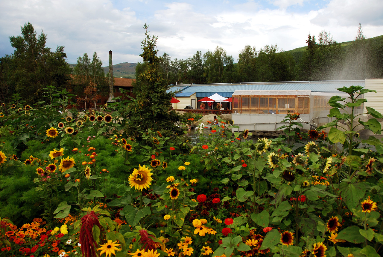 2013-08-04, 007, Chena Hot Springs, Chena, AK
