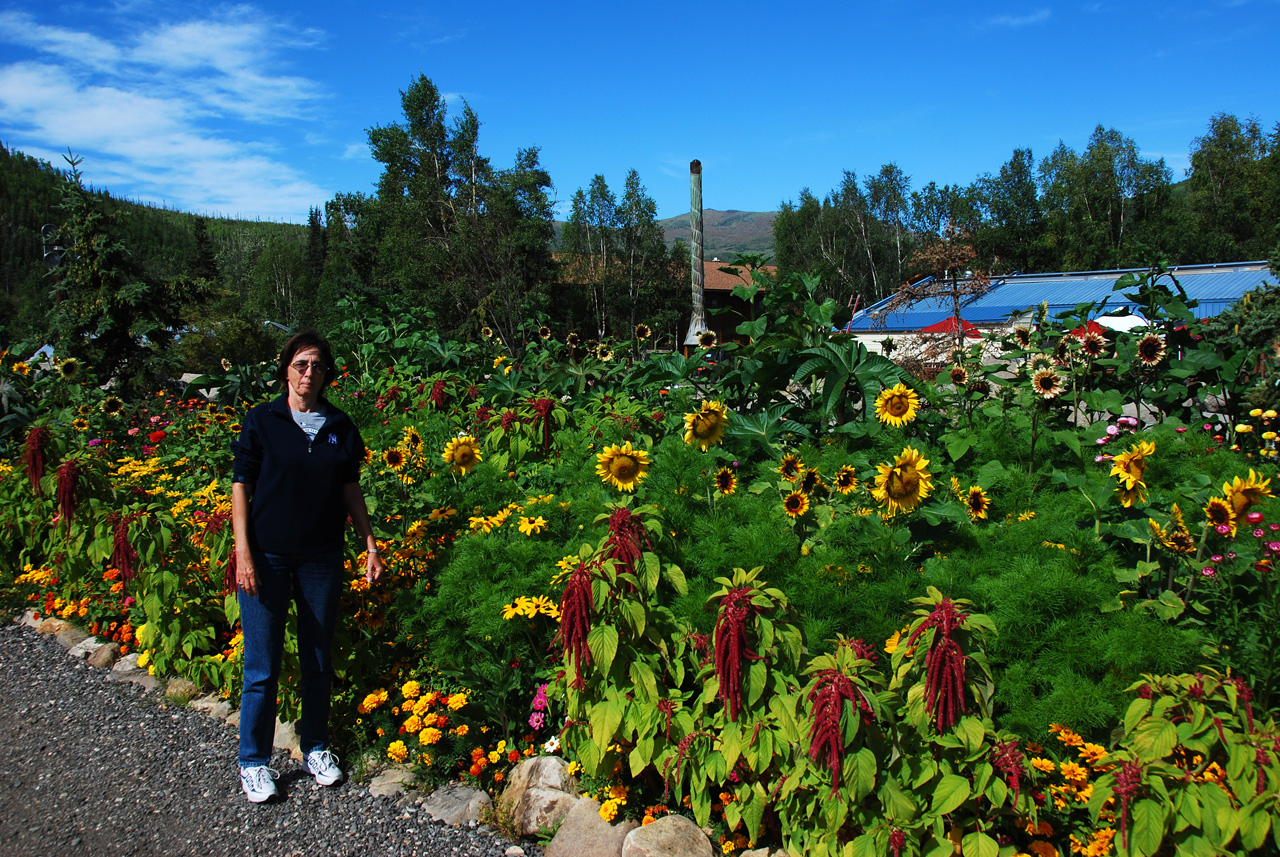 2013-08-04, 011, Chena Hot Springs, Chena, AK