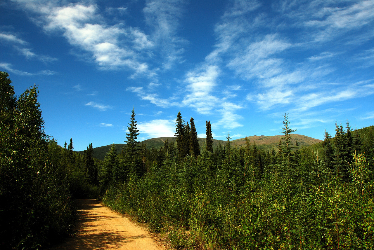 2013-08-04, 015, Chena Hot Springs, Chena, AK