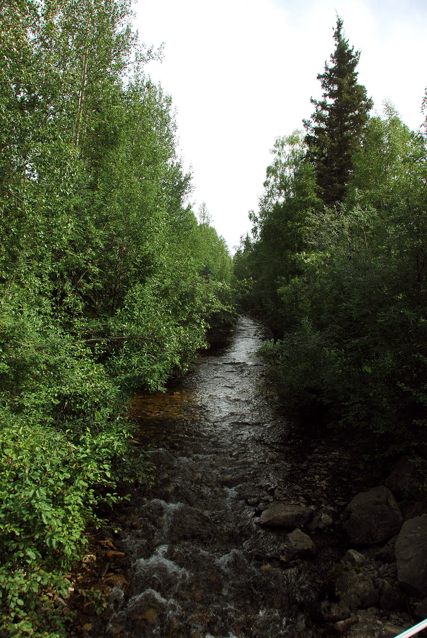 2013-08-04, 018, Chena Hot Springs, Chena, AK
