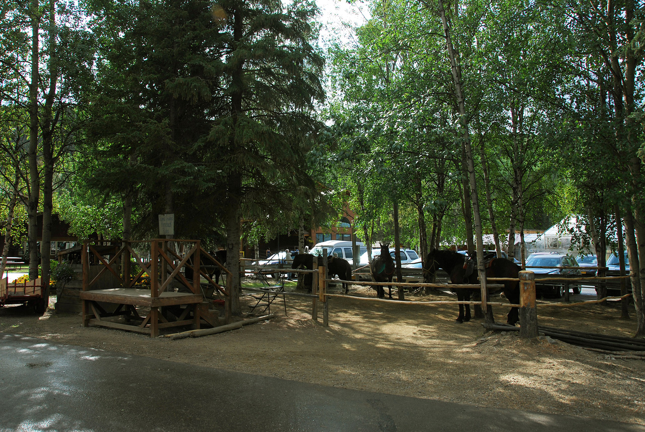 2013-08-04, 021, Chena Hot Springs, Chena, AK