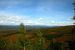 2013-08-06, 036, Dalton Hwy, MP 61 .. 132, AK