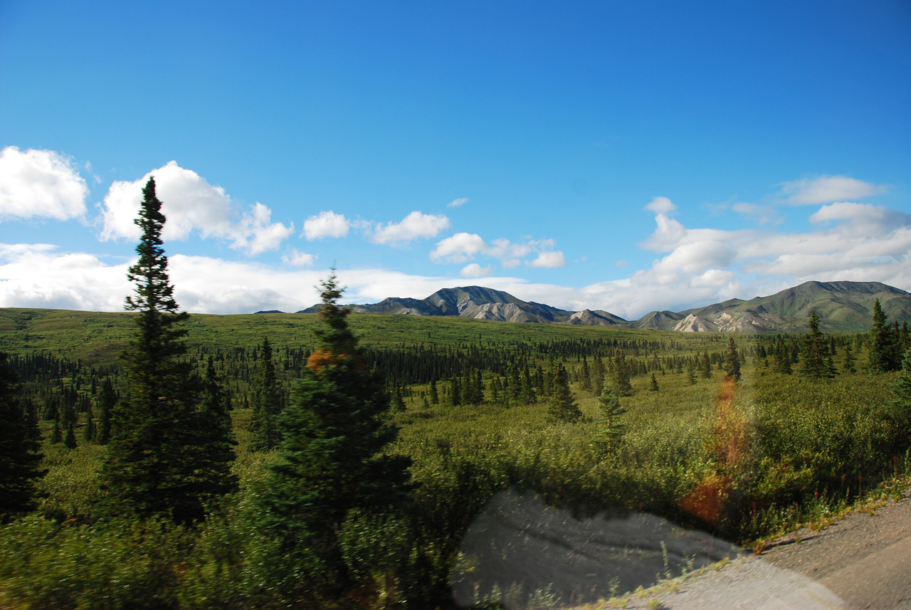 2013-08-08, 006, Denali National Park, AK, Mt McKinley