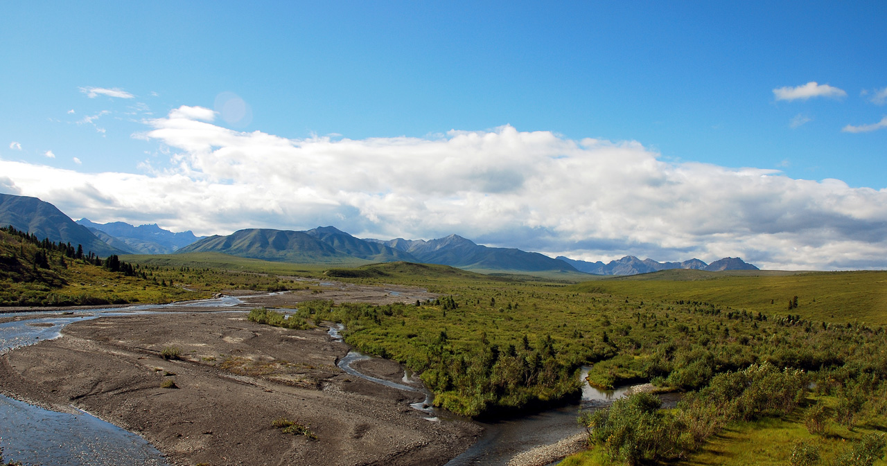 2013-08-08, 010, Denali National Park, AK, Mt McKinley