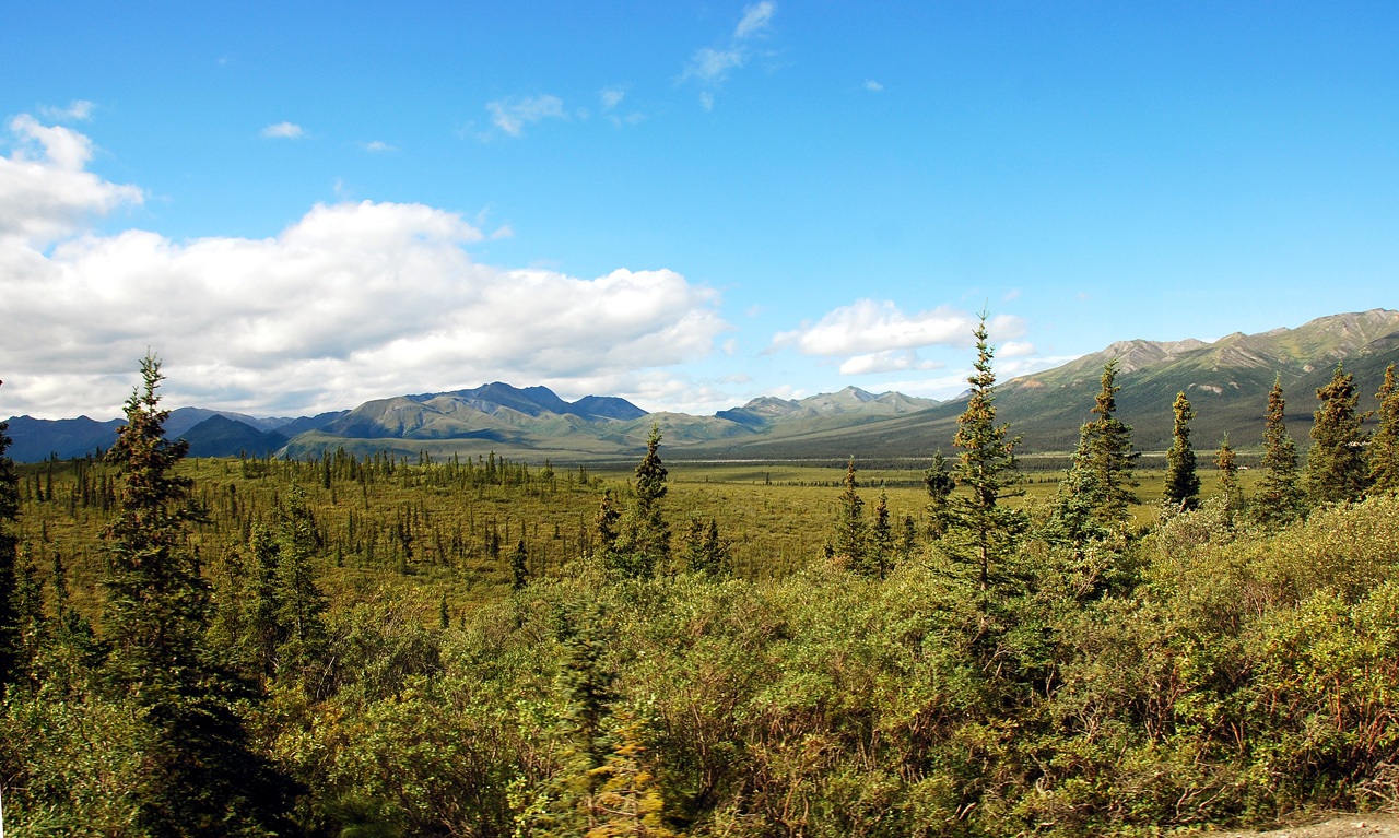 2013-08-08, 020, Denali National Park, AK, Mt McKinley