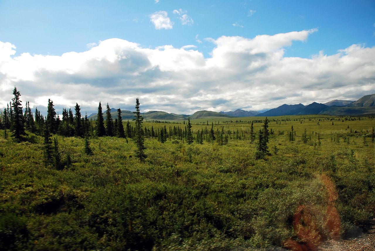 2013-08-08, 022, Denali National Park, AK, Mt McKinley