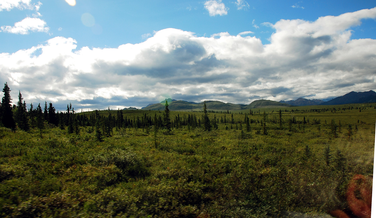 2013-08-08, 023, Denali National Park, AK, Mt McKinley