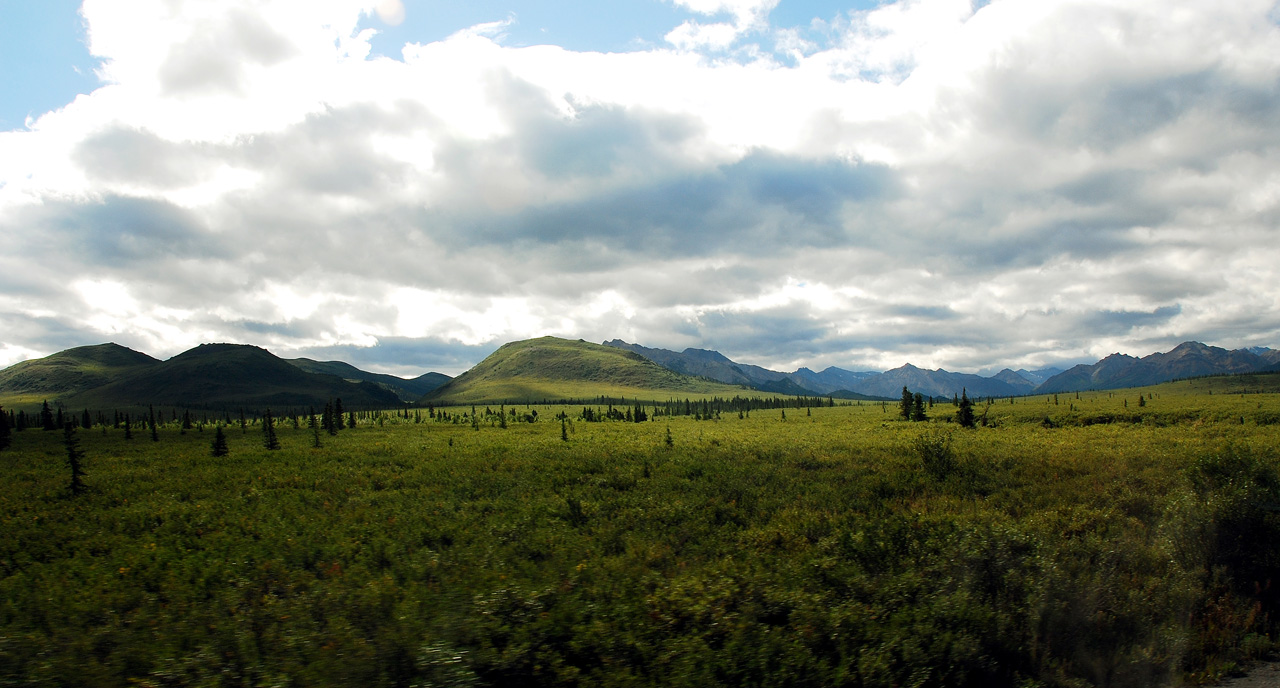 2013-08-08, 024, Denali National Park, AK, Mt McKinley