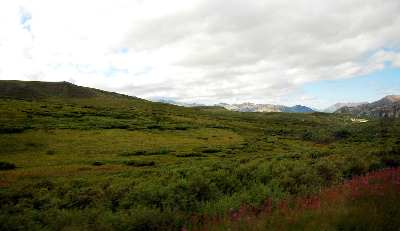 2013-08-08, 040, Denali National Park, AK, Mt McKinley