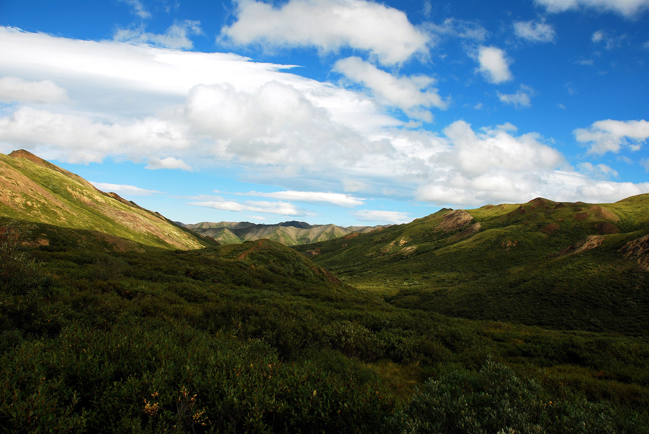 2013-08-08, 071, Denali National Park, AK, Mt McKinley