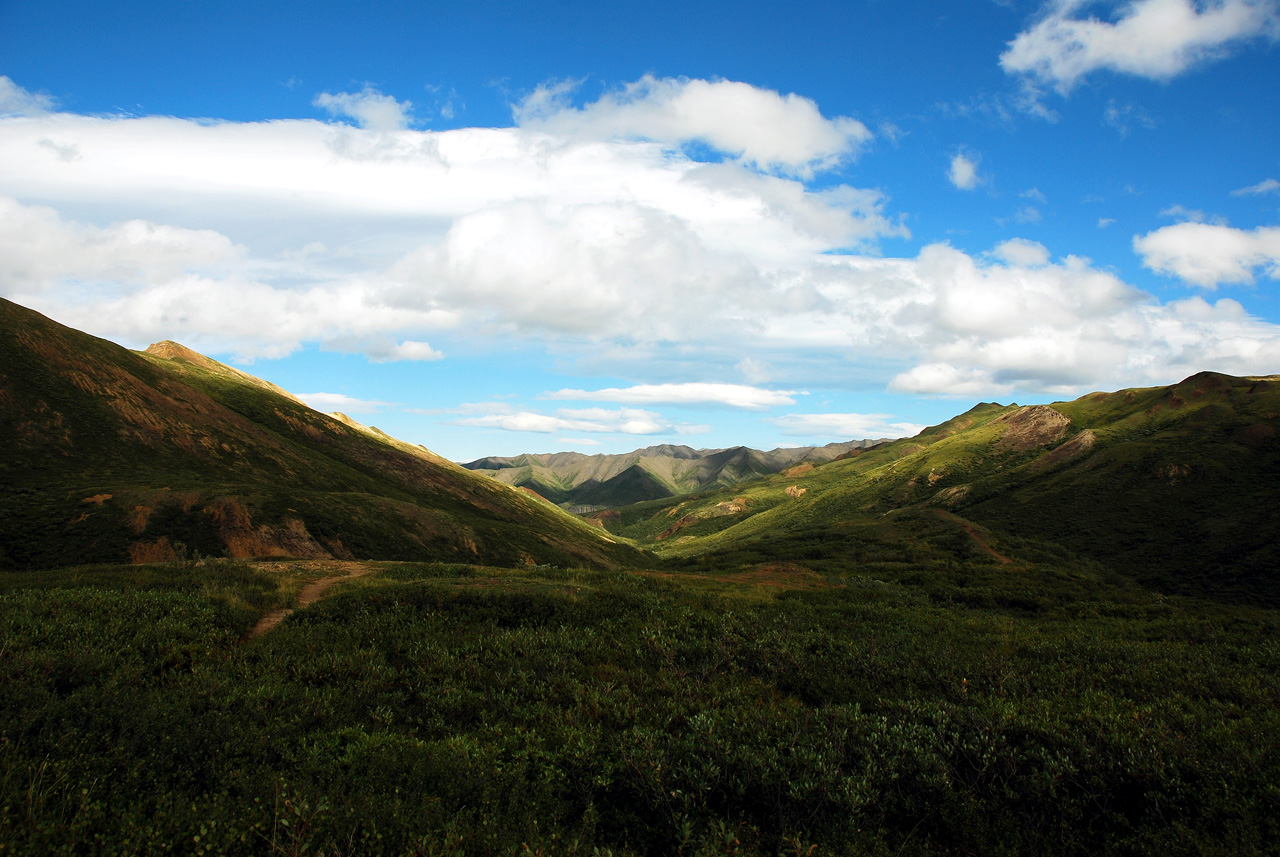 2013-08-08, 073, Denali National Park, AK, Mt McKinley