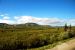 2013-08-08, 007, Denali National Park, AK, Mt McKinley