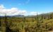 2013-08-08, 020, Denali National Park, AK, Mt McKinley