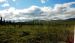 2013-08-08, 023, Denali National Park, AK, Mt McKinley