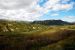 2013-08-08, 042, Denali National Park, AK, Mt McKinley