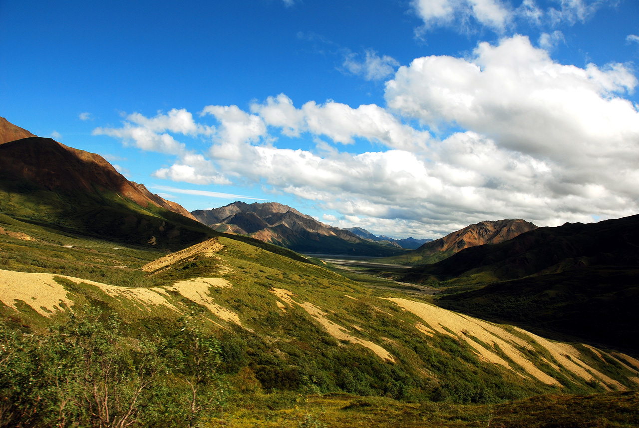 2013-08-08, 098, Denali National Park, AK, Mt McKinley