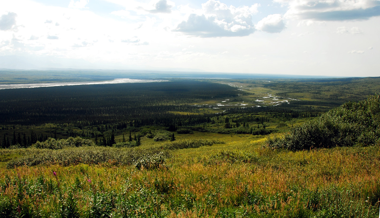 2013-08-08, 125, Denali National Park, AK, Mt McKinley