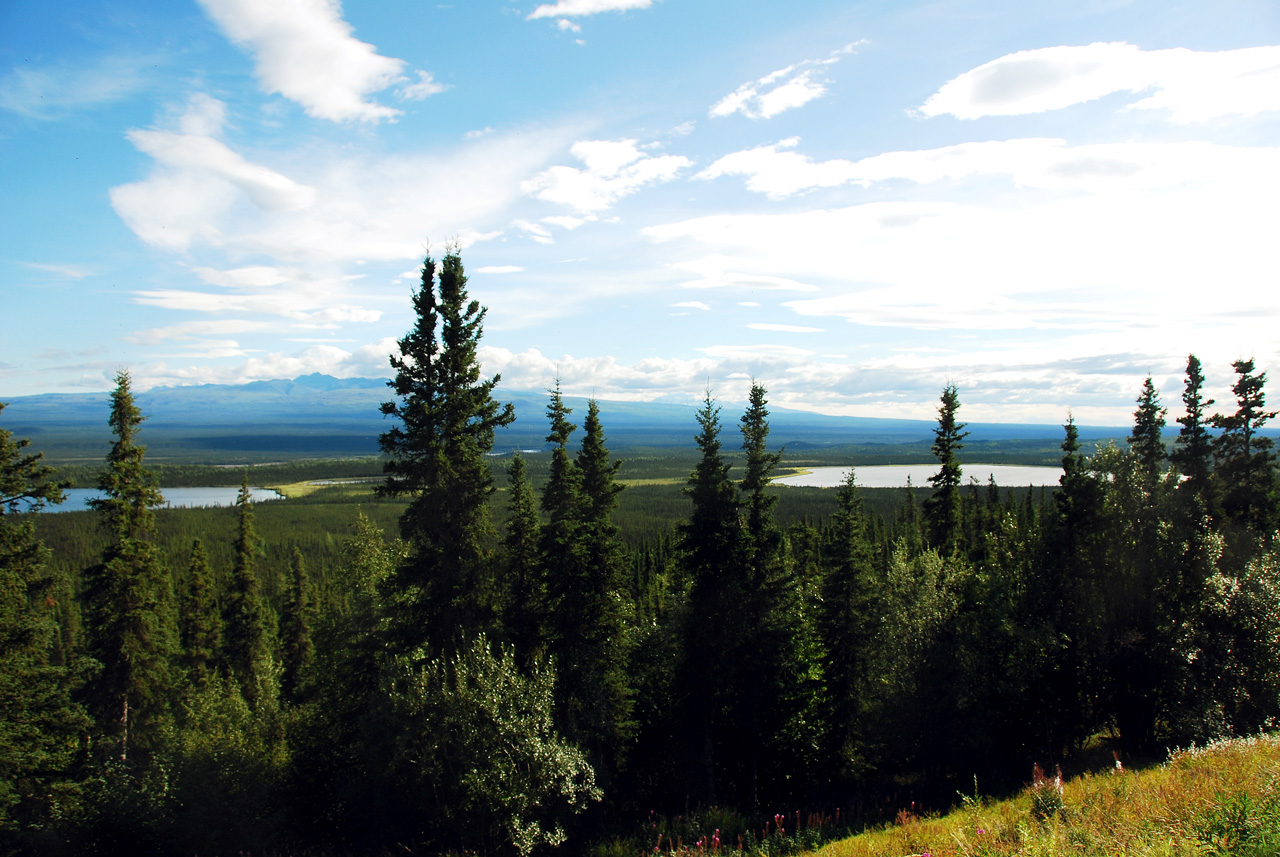 2013-08-11, 018, Along Hwy A1 in Alaska