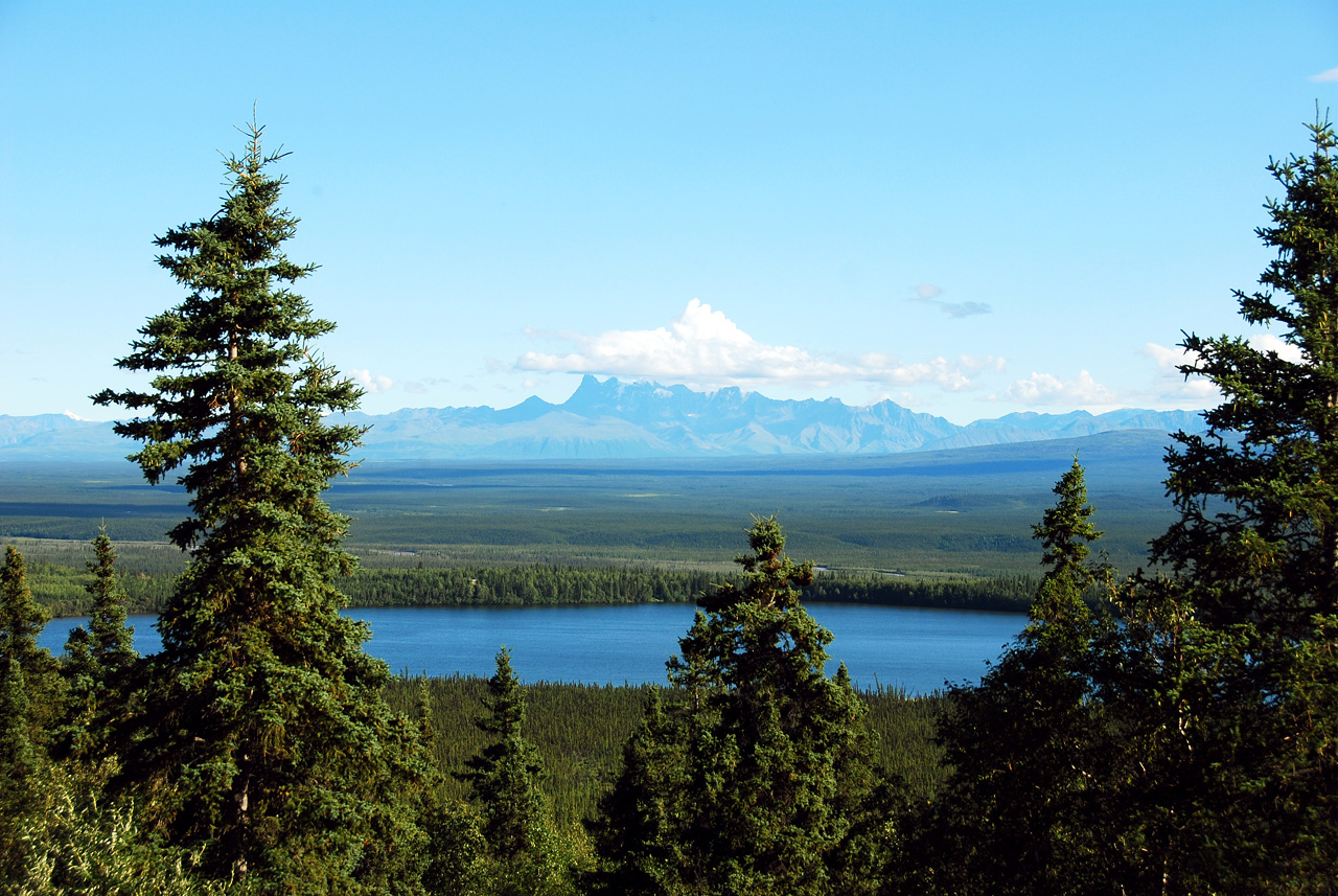 2013-08-11, 019, Along Hwy A1 in Alaska