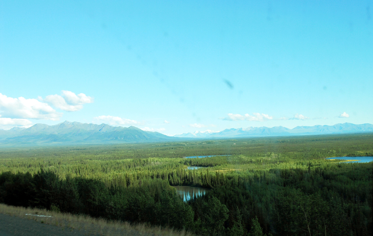 2013-08-11, 023, Along Hwy A1 in Alaska