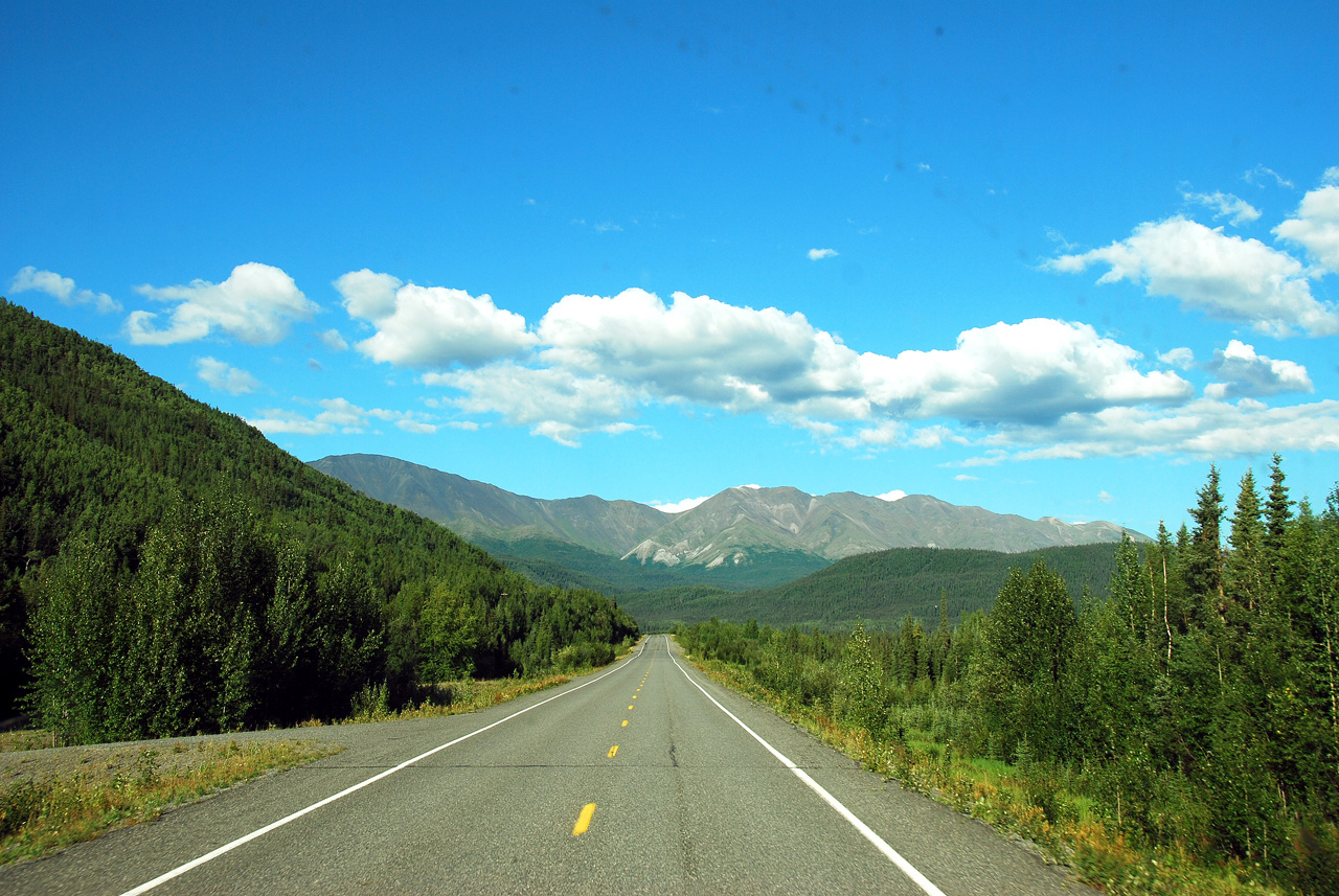 2013-08-11, 032, Along Hwy A1 in Alaska
