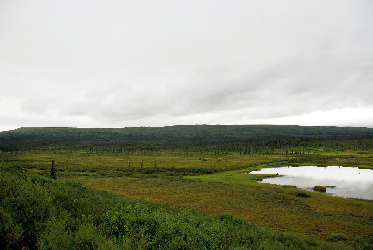2013-08-11, 016, Denali Hwy, A8, Alaska
