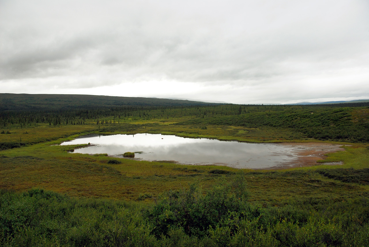 2013-08-11, 017, Denali Hwy, A8, Alaska