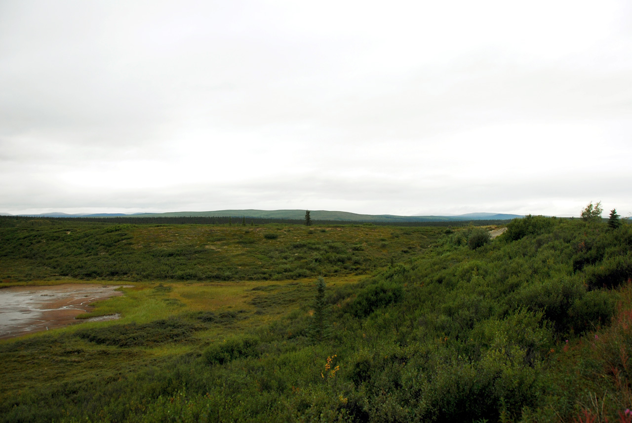 2013-08-11, 018, Denali Hwy, A8, Alaska