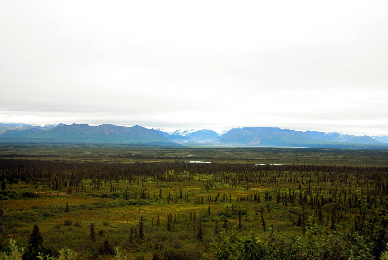 2013-08-11, 026, Denali Hwy, A8, Alaska