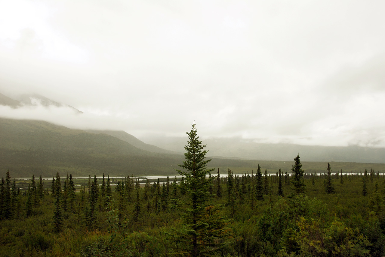 2013-08-11, 034, Denali Hwy, A8, Alaska