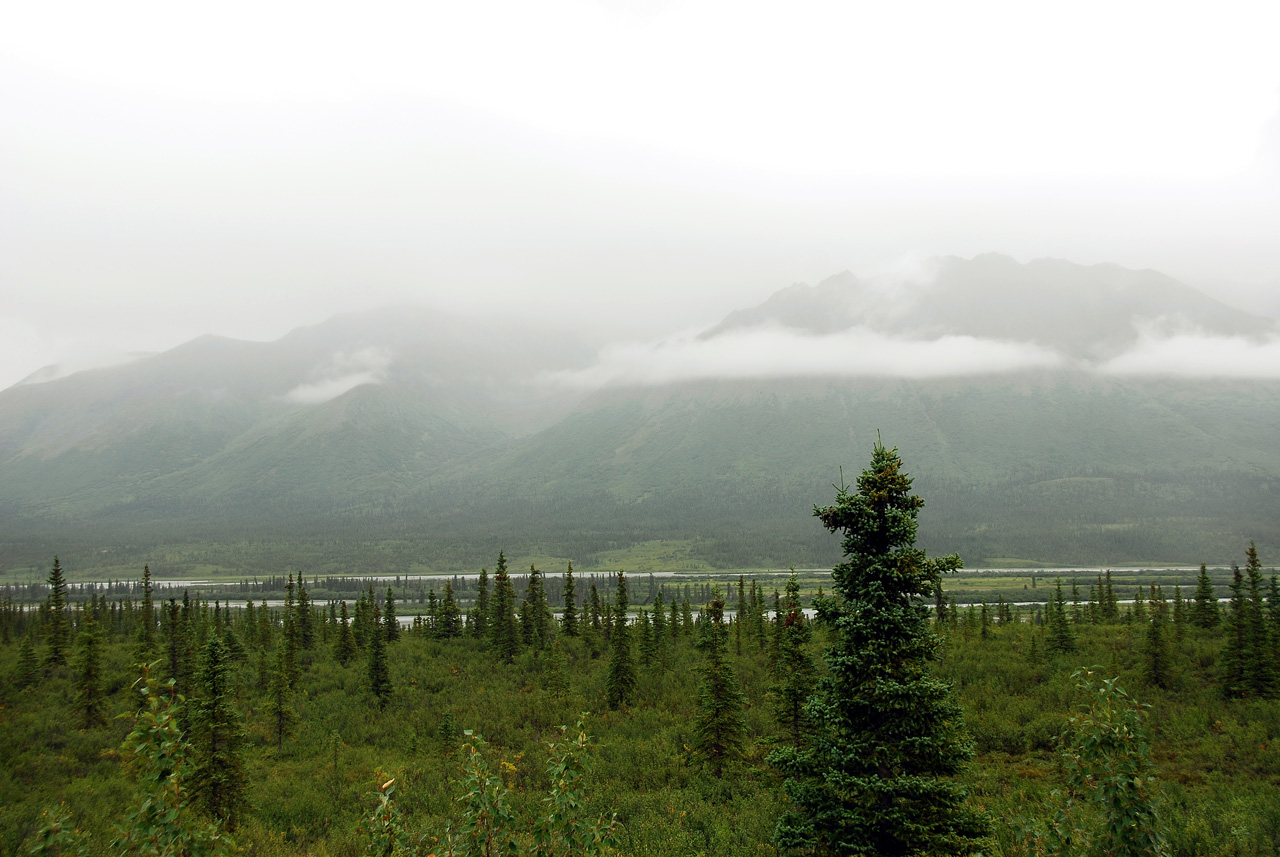 2013-08-11, 036, Denali Hwy, A8, Alaska