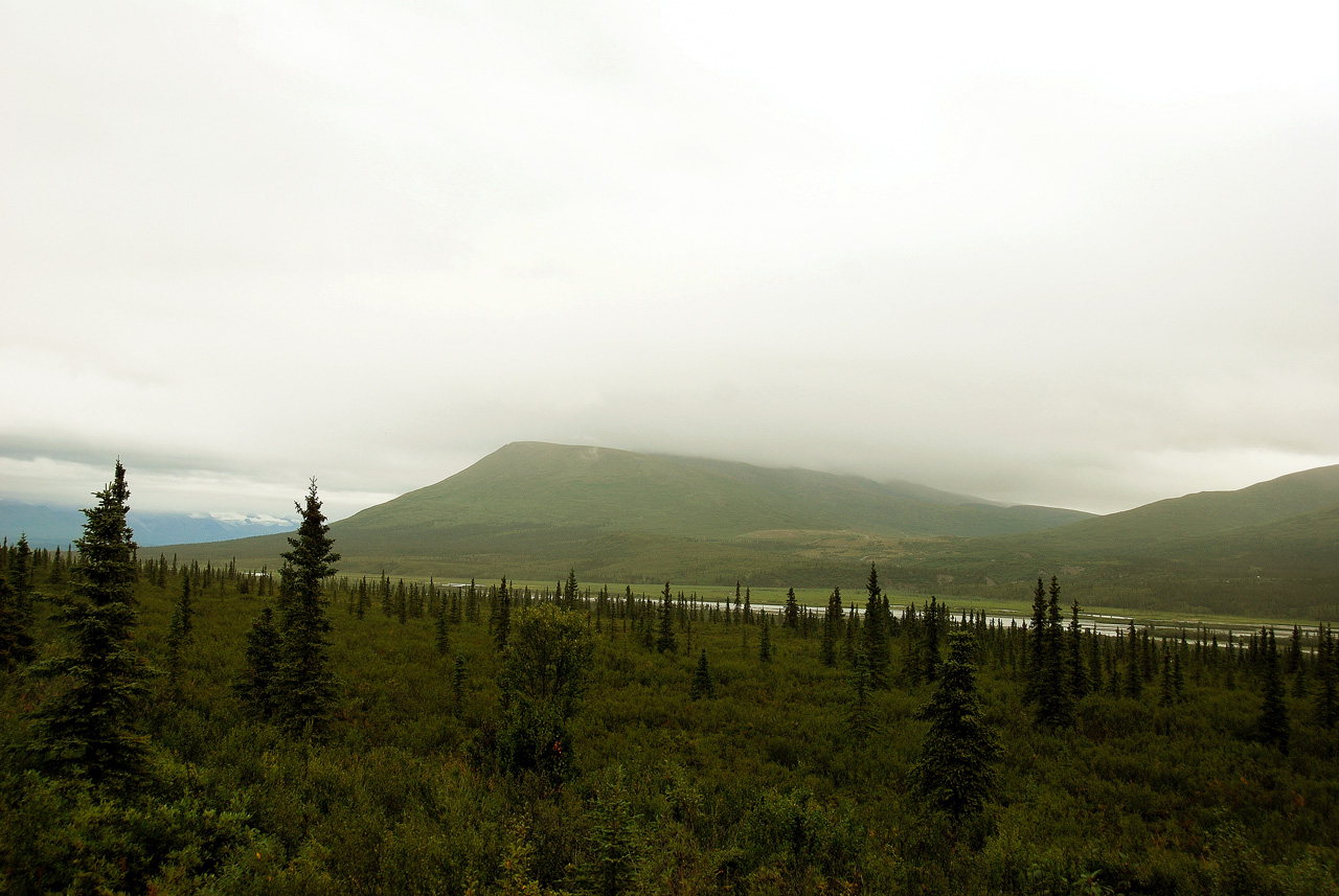 2013-08-11, 037, Denali Hwy, A8, Alaska