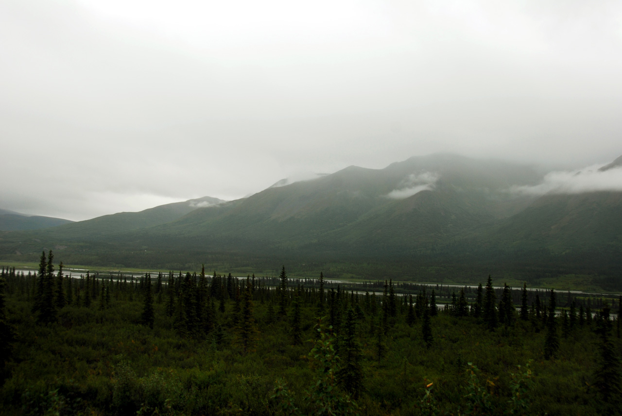 2013-08-11, 038, Denali Hwy, A8, Alaska