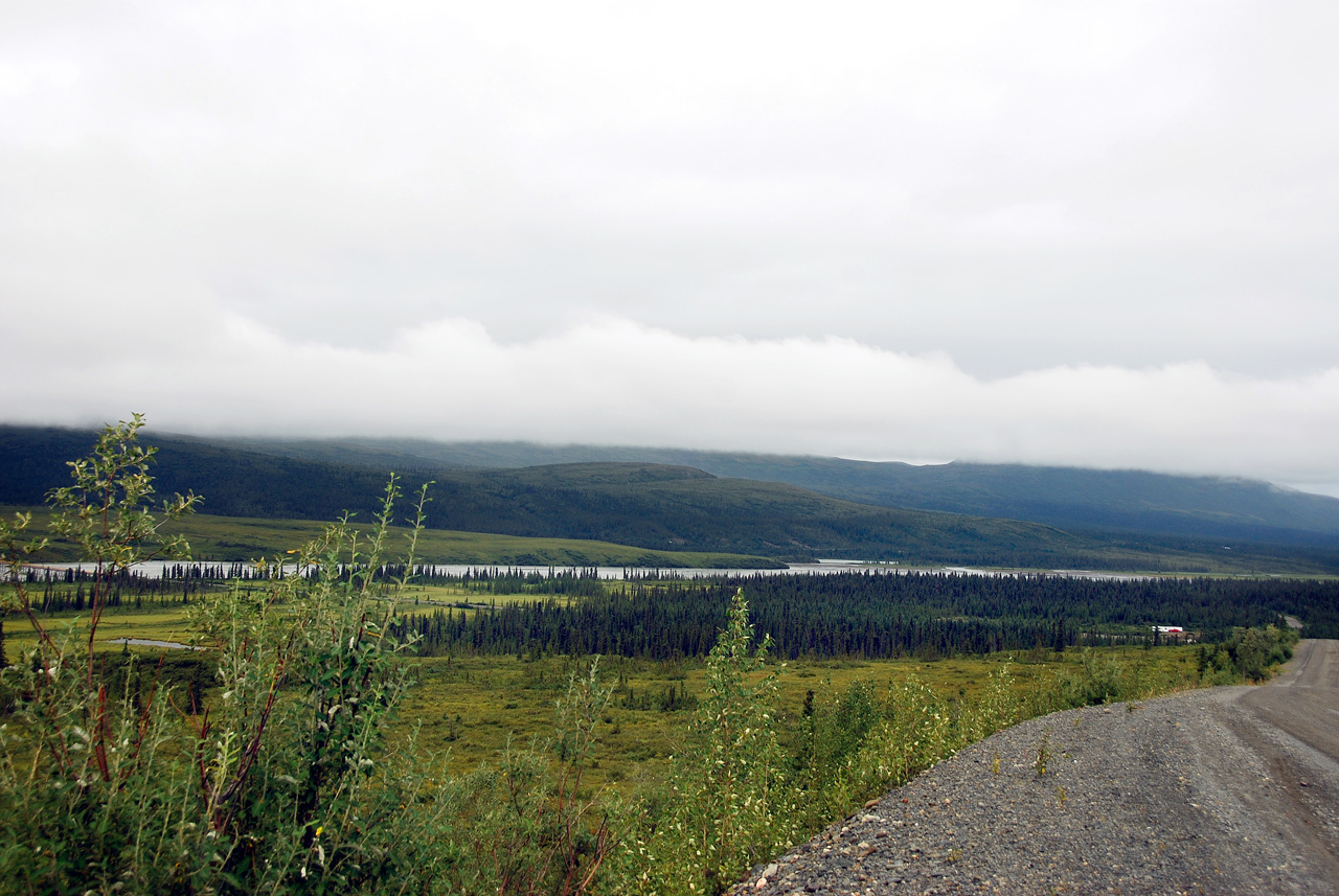 2013-08-11, 041, Denali Hwy, A8, Alaska