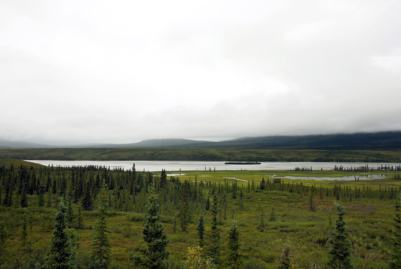 2013-08-11, 043, Denali Hwy, A8, Alaska