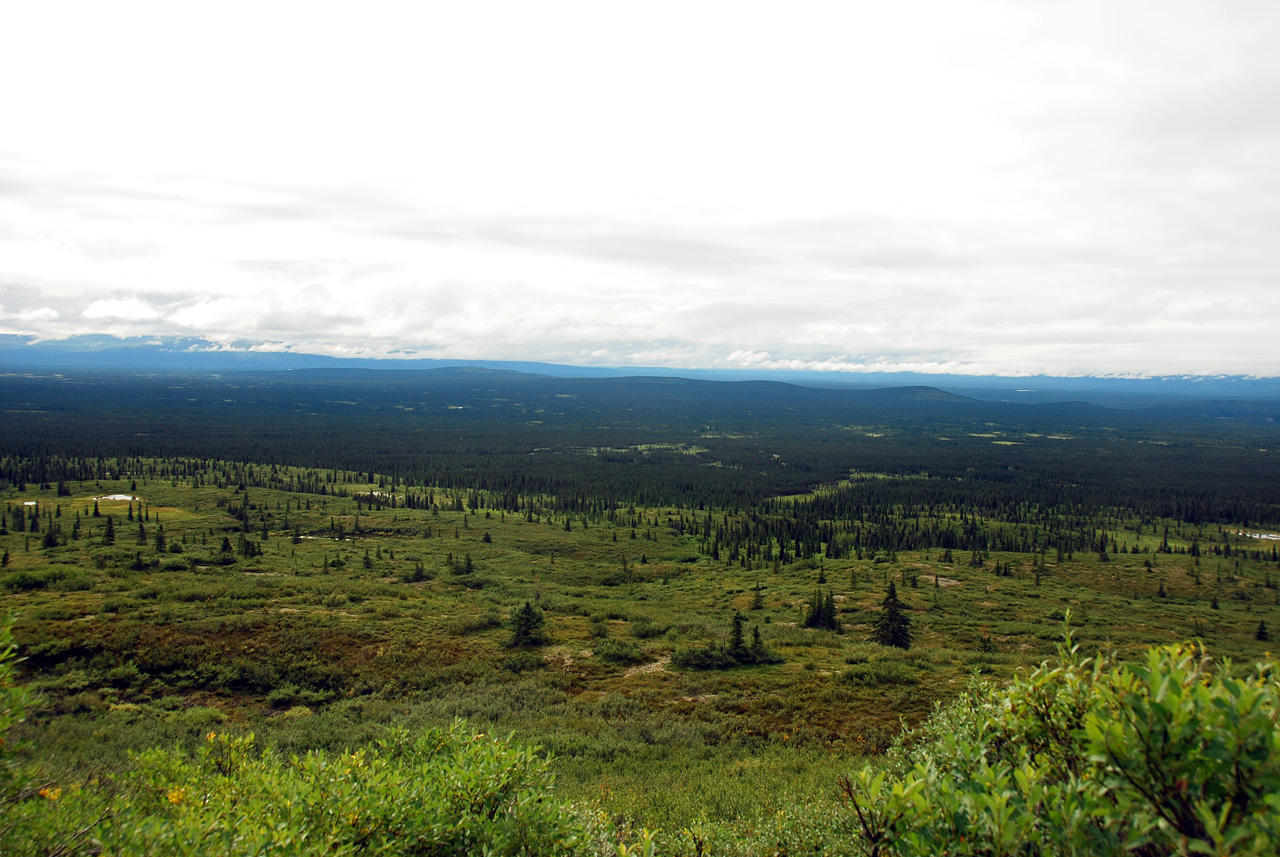 2013-08-11, 053, Denali Hwy, A8, Alaska