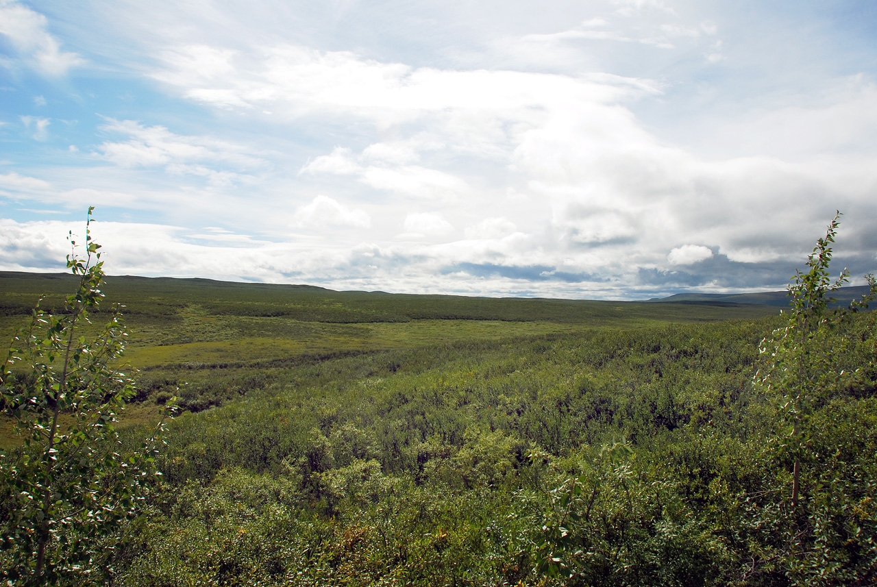 2013-08-11, 067, Denali Hwy, A8, Alaska