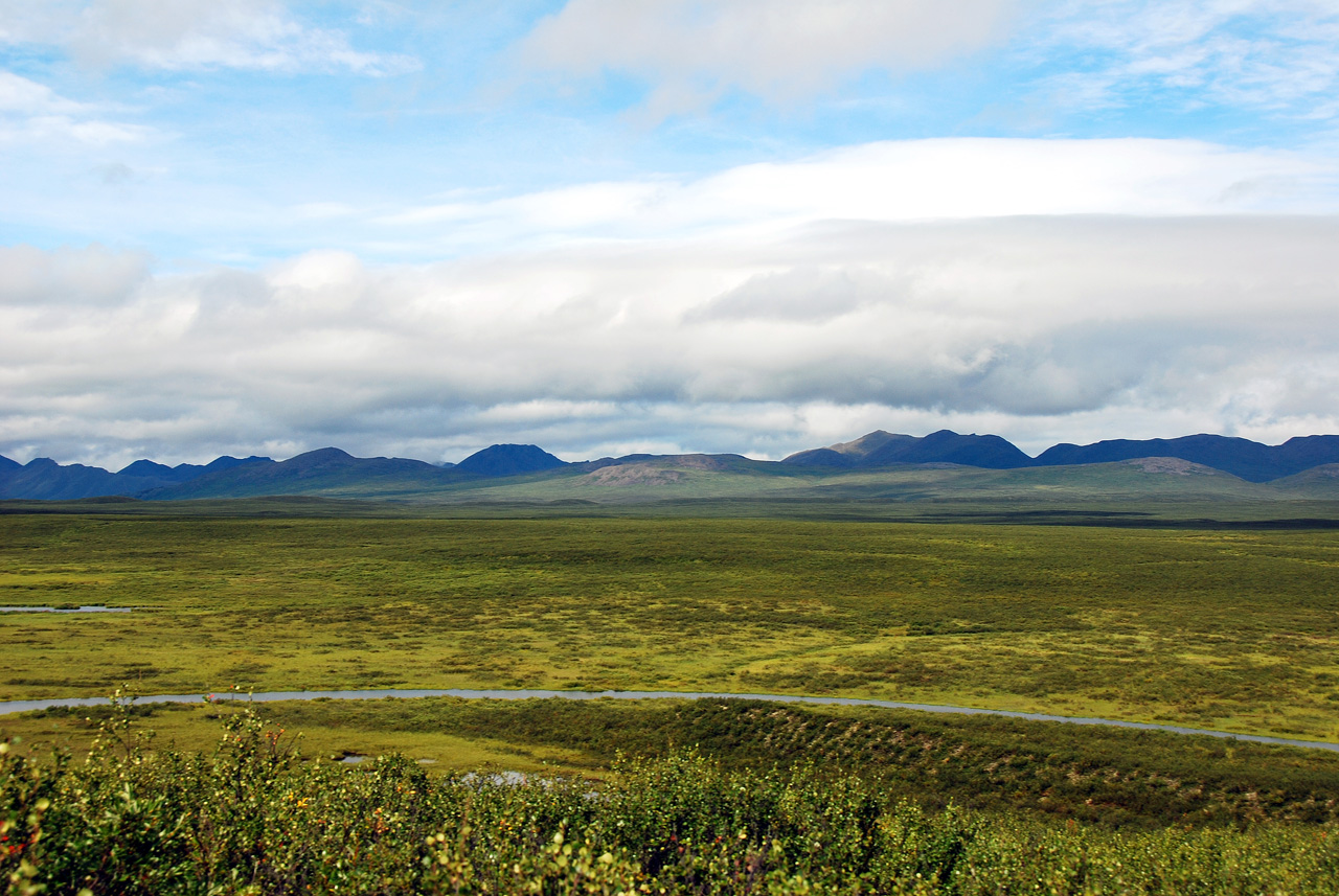 2013-08-11, 071, Denali Hwy, A8, Alaska