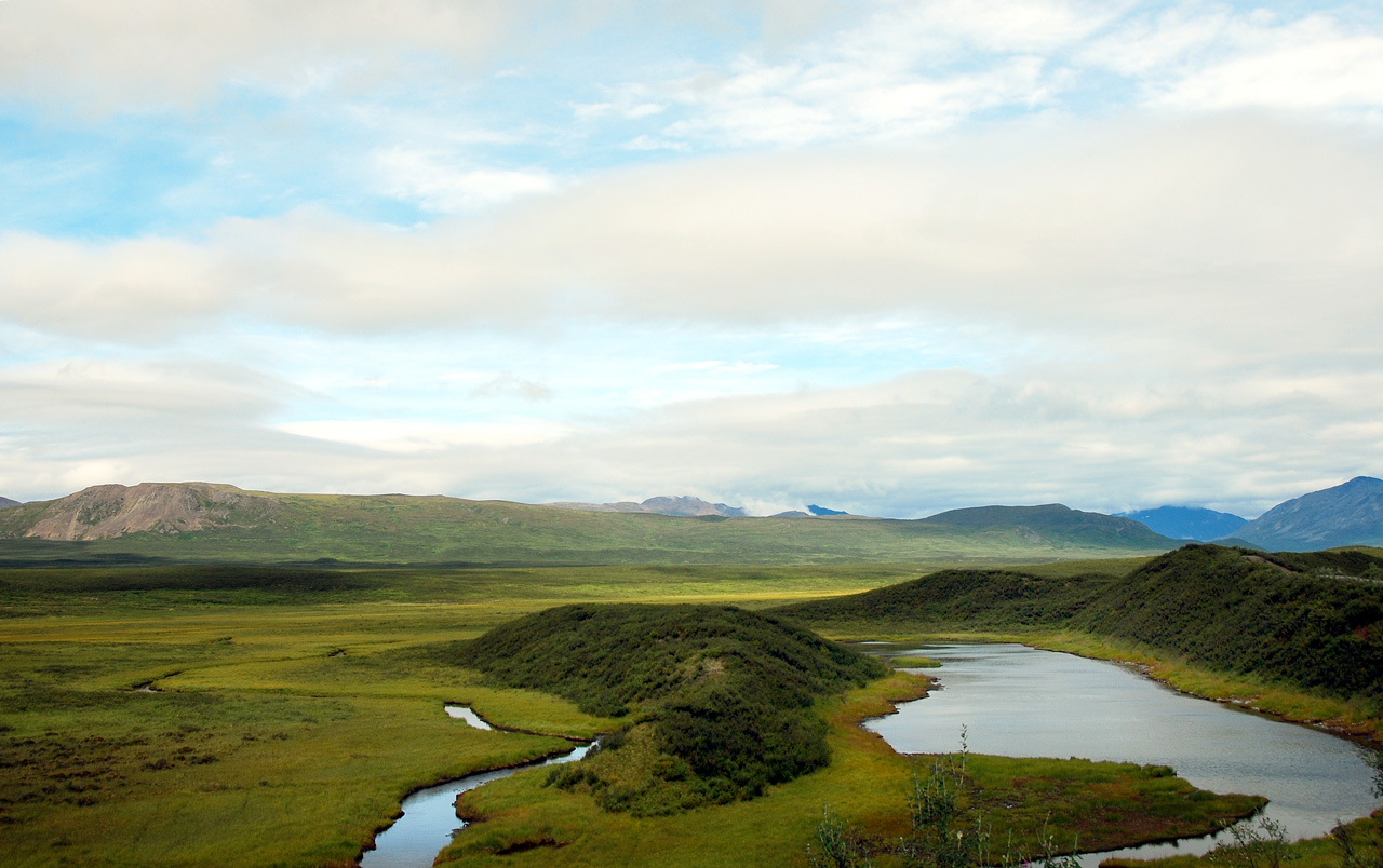 2013-08-11, 077, Denali Hwy, A8, Alaska