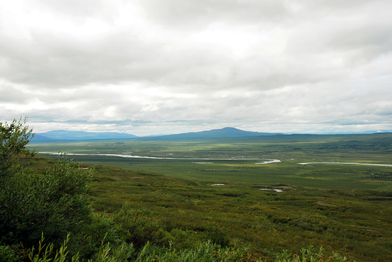2013-08-11, 092, Denali Hwy, A8, Alaska