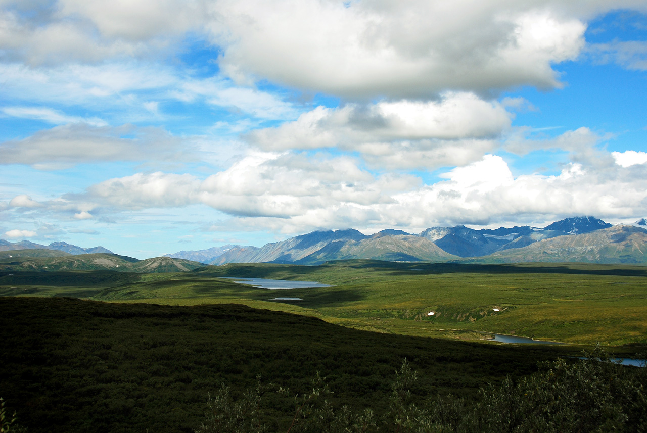 2013-08-11, 121, Denali Hwy, A8, Alaska