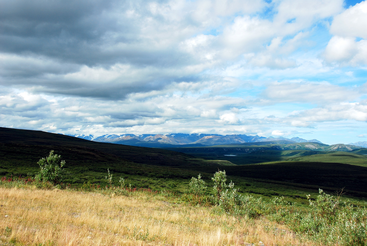 2013-08-11, 129, Denali Hwy, A8, Alaska
