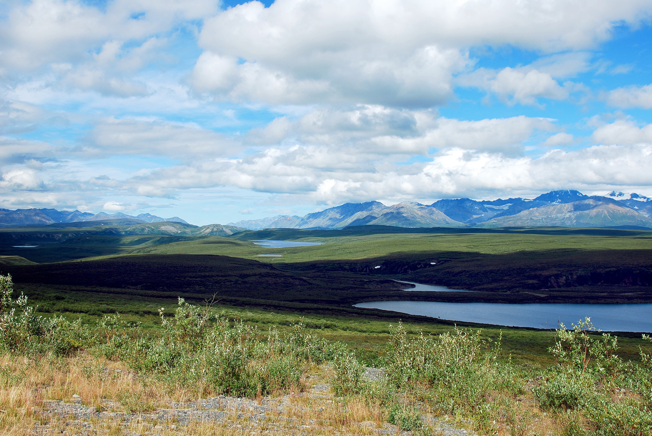 2013-08-11, 130, Denali Hwy, A8, Alaska