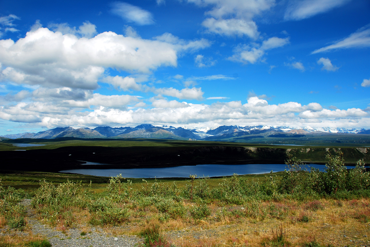 2013-08-11, 132, Denali Hwy, A8, Alaska