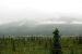2013-08-11, 036, Denali Hwy, A8, Alaska