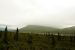 2013-08-11, 037, Denali Hwy, A8, Alaska